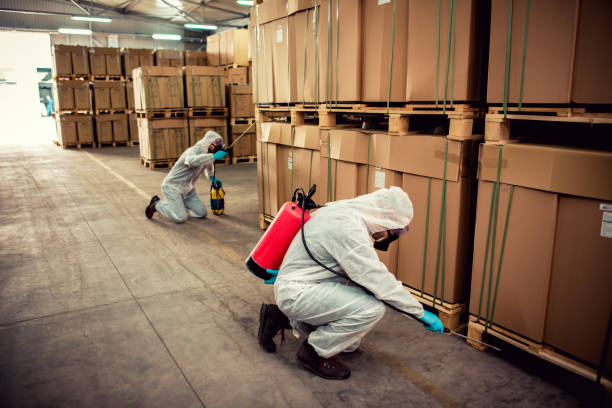 Best Residential Pest Control  in Paddock Lake, WI