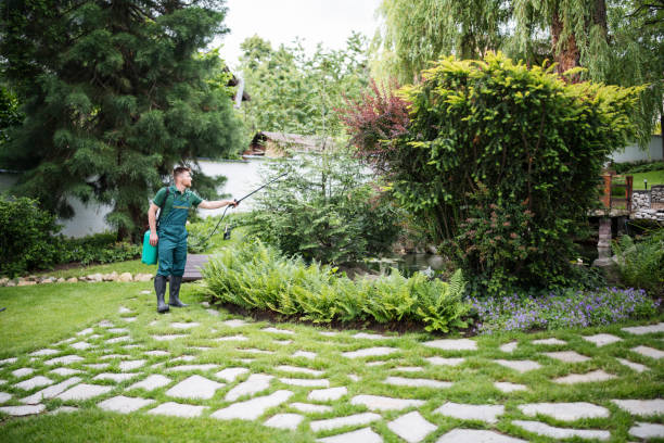 Best Cockroach Control Services  in Paddock Lake, WI