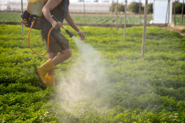 Best Pest Prevention Services  in Paddock Lake, WI