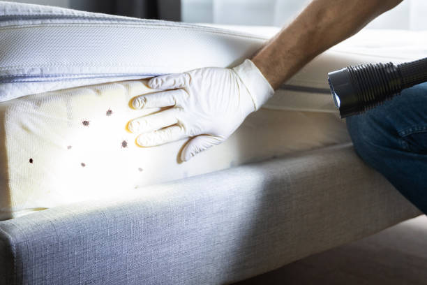 Best Commercial Pest Control Services  in Paddock Lake, WI